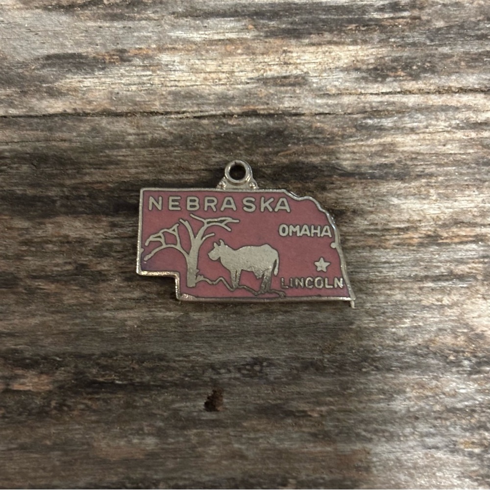 ☁️ Vintage Nebraska State Charm Pendant - Pink